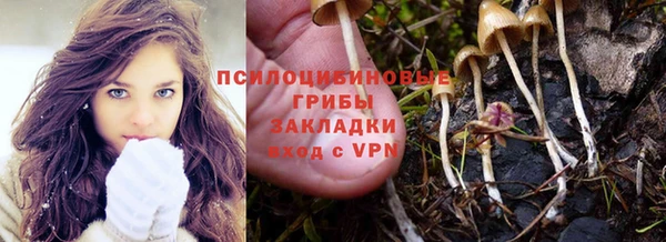 кокаин Белокуриха
