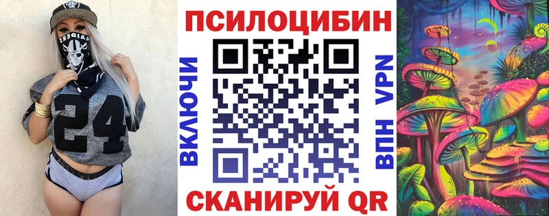 где купить наркотик  Вяземский  Псилоцибиновые грибы ЛСД 